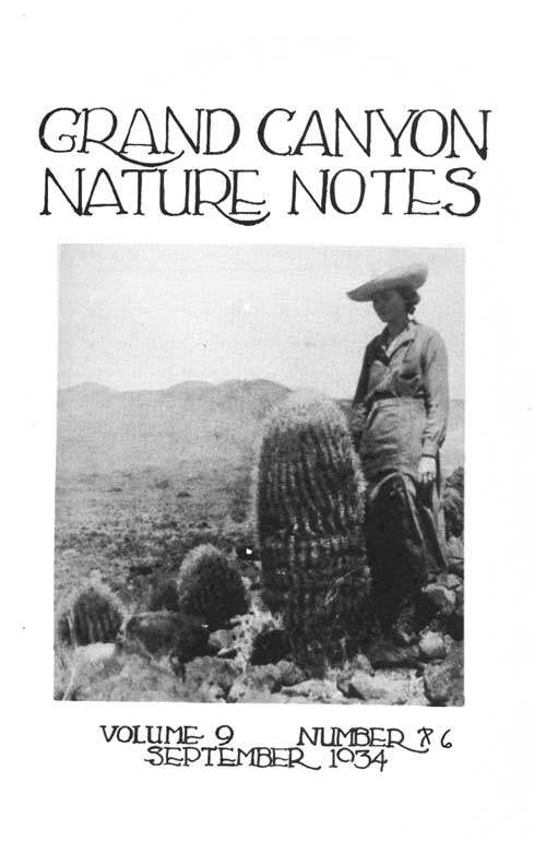 issue cover