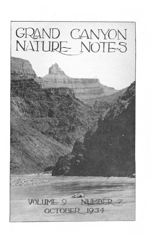 issue cover