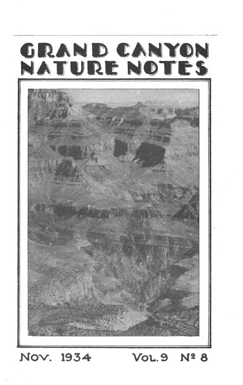 issue cover