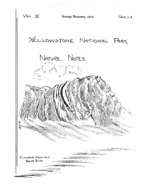 issue cover