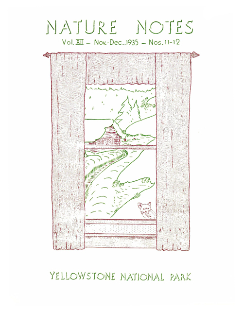 issue cover