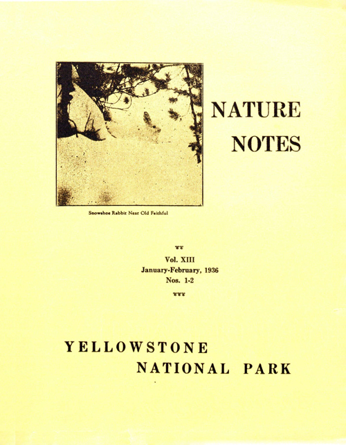 issue cover
