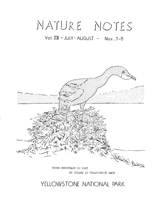 issue cover