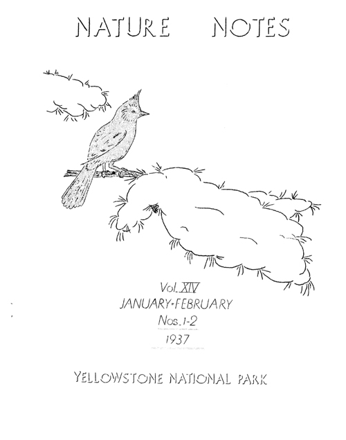 issue cover