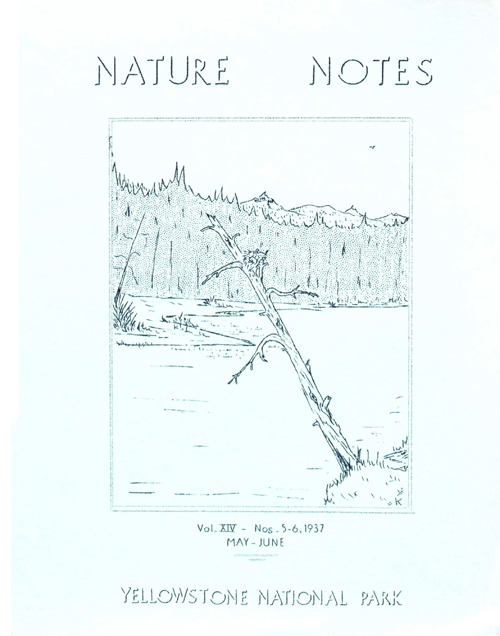 issue cover