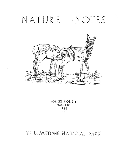 issue cover