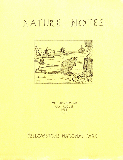 issue cover