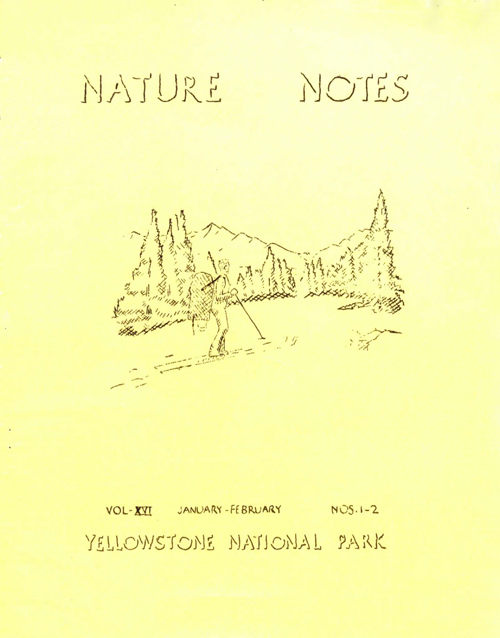 issue cover