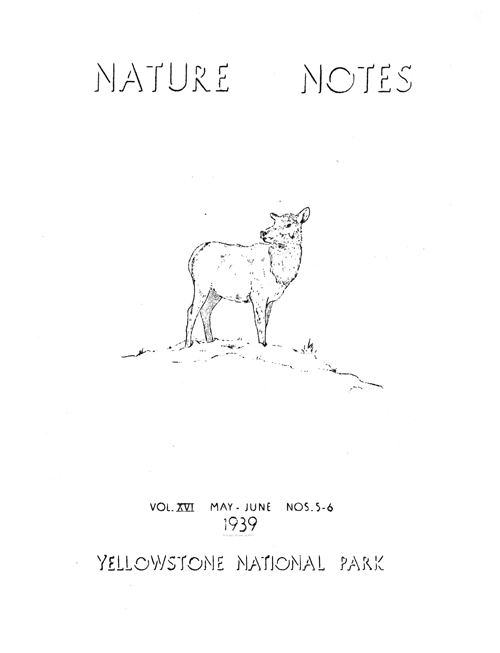 issue cover