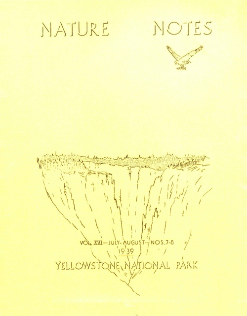 issue cover