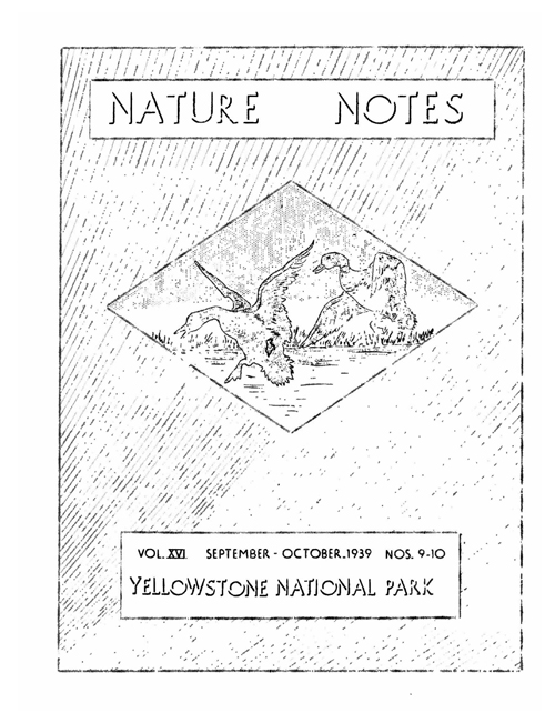 issue cover