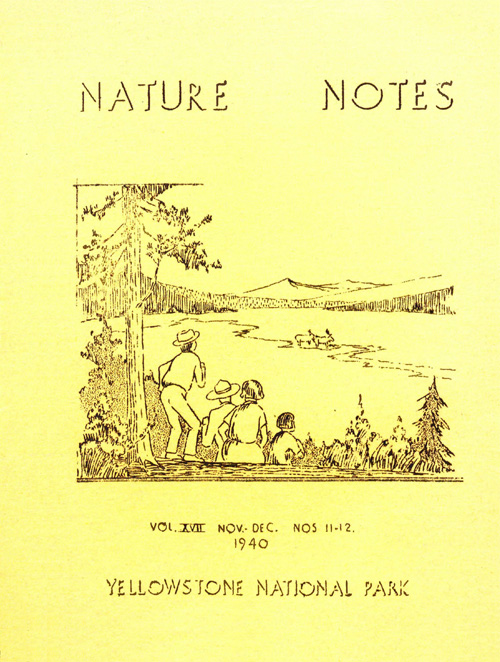 issue cover