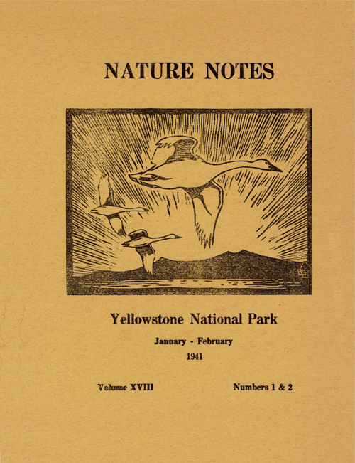 issue cover