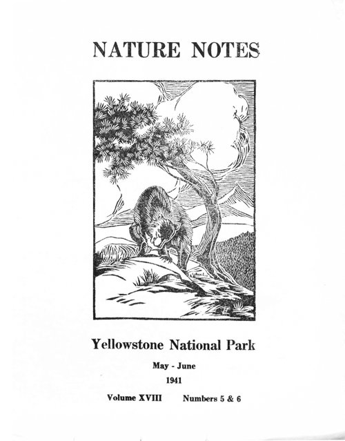 issue cover
