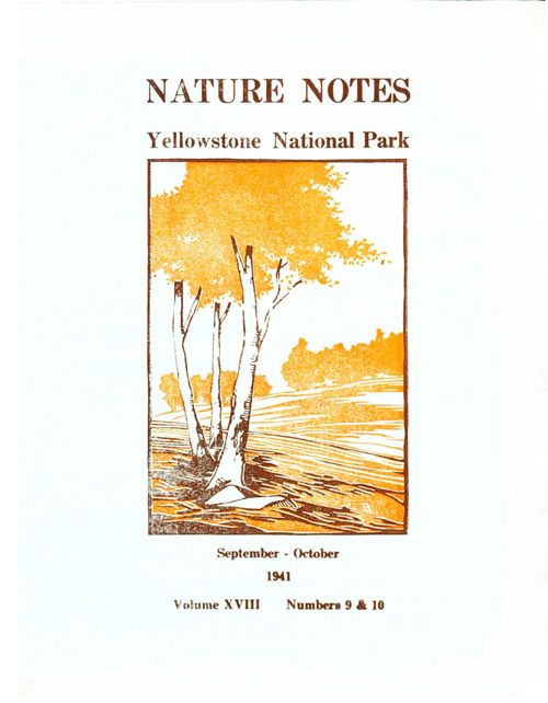 issue cover