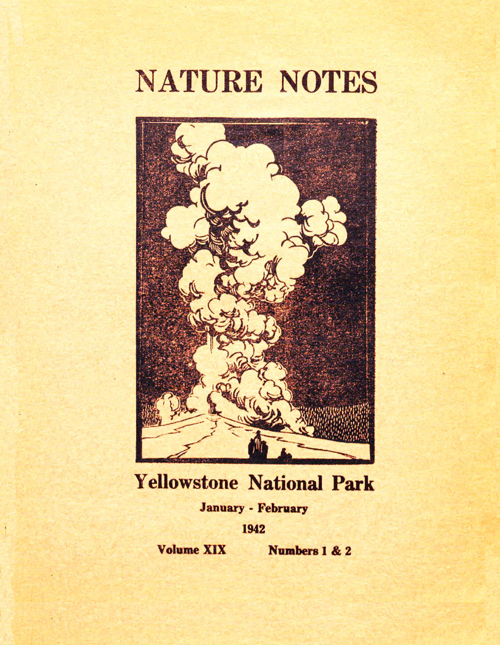 issue cover