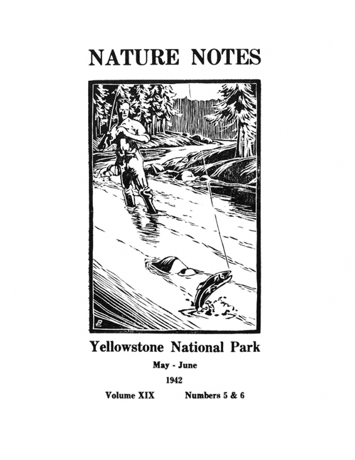issue cover