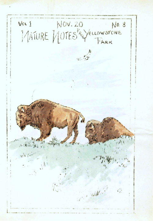 issue cover