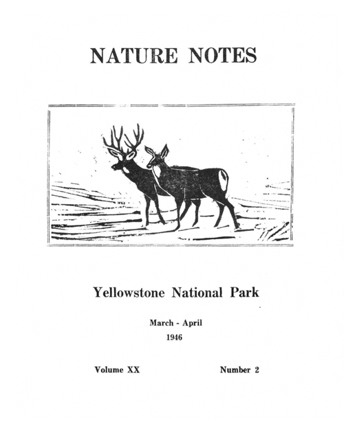 issue cover