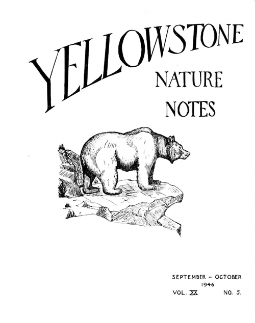 issue cover