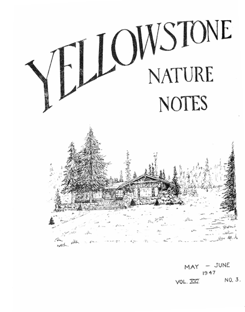 issue cover