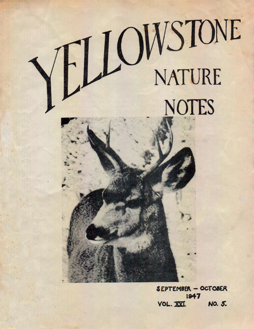 issue cover