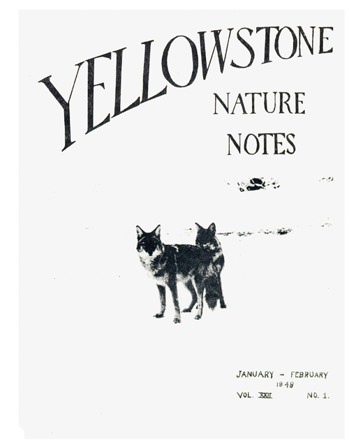 issue cover