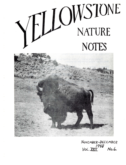 issue cover