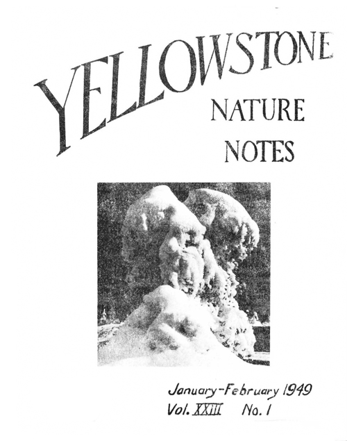 issue cover