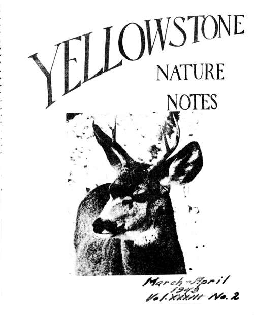 issue cover