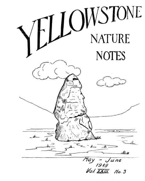 issue cover