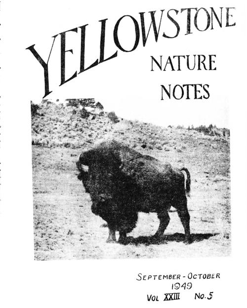 issue cover
