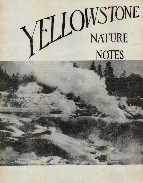 issue cover