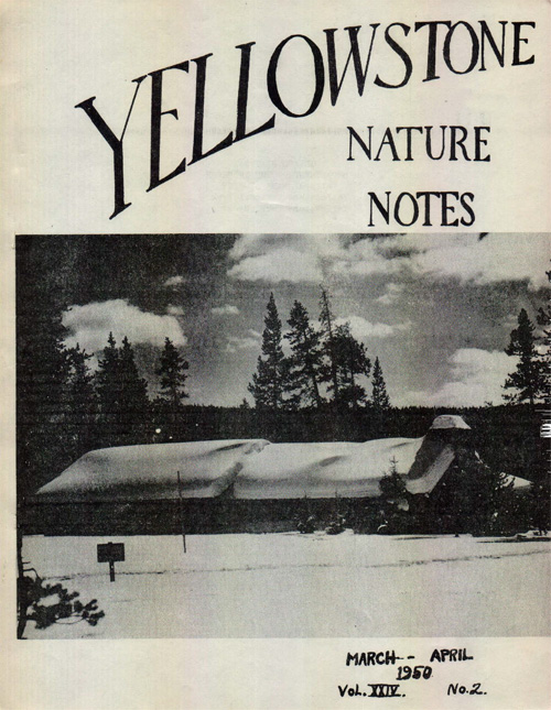 issue cover