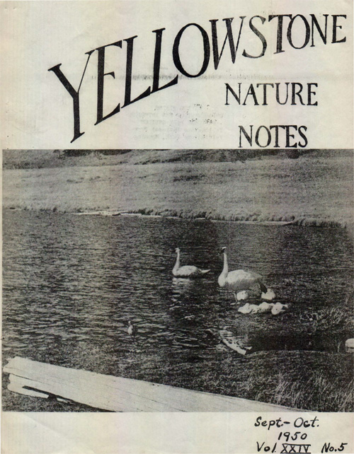 issue cover