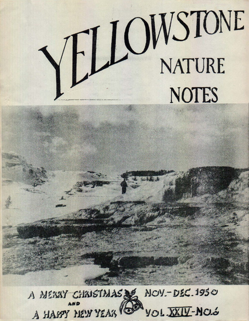 issue cover
