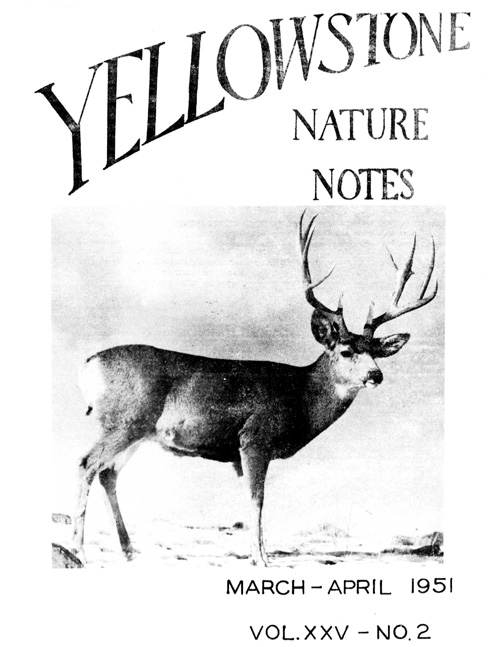 issue cover