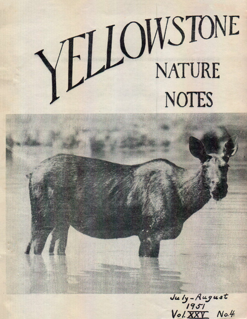 issue cover