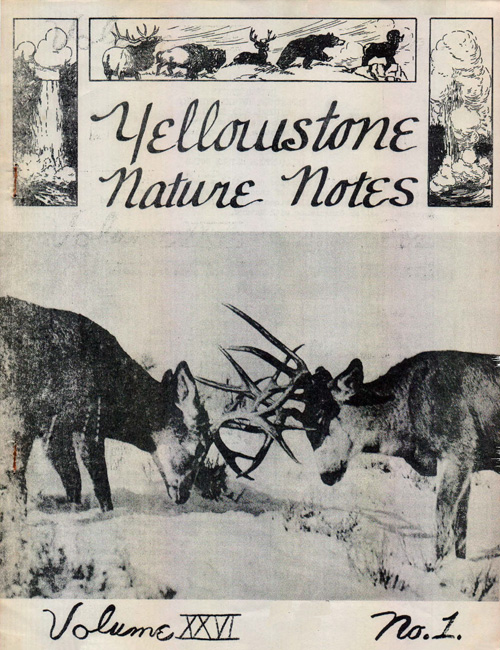 issue cover