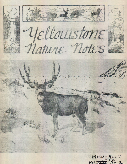 issue cover