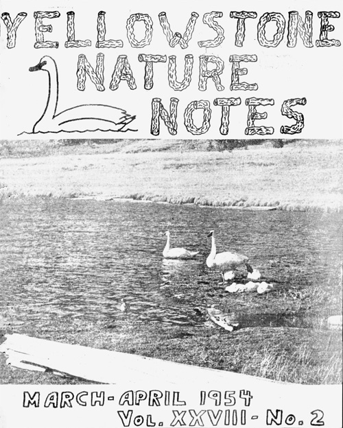 issue cover