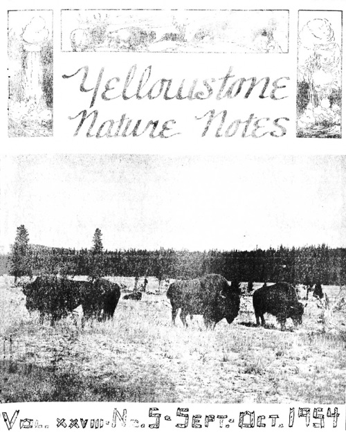 issue cover