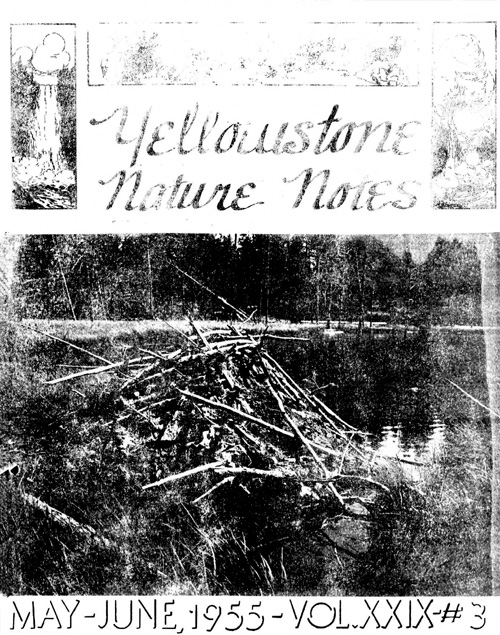 issue cover
