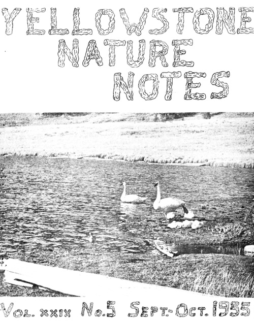 issue cover