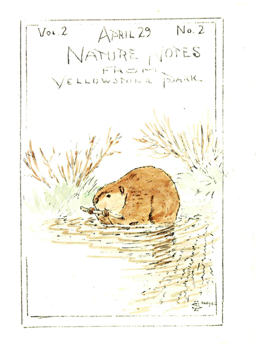 issue cover