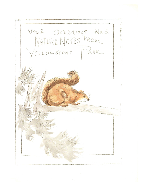 issue cover