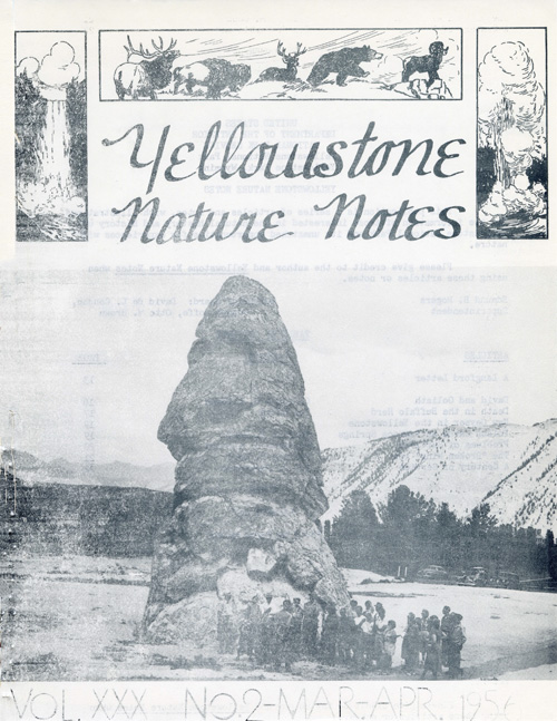 issue cover