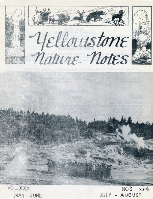 issue cover