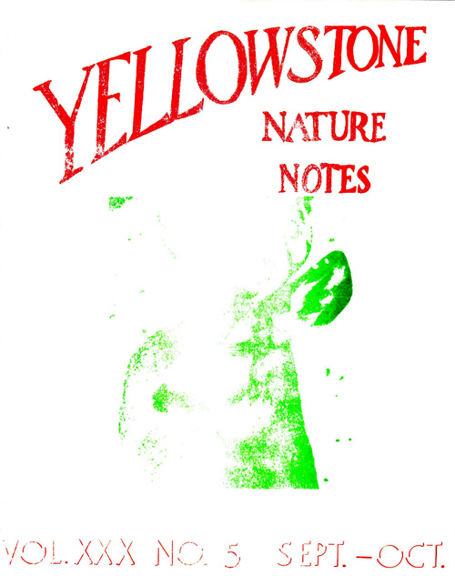 issue cover