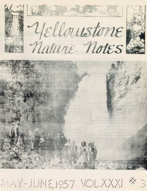 issue cover